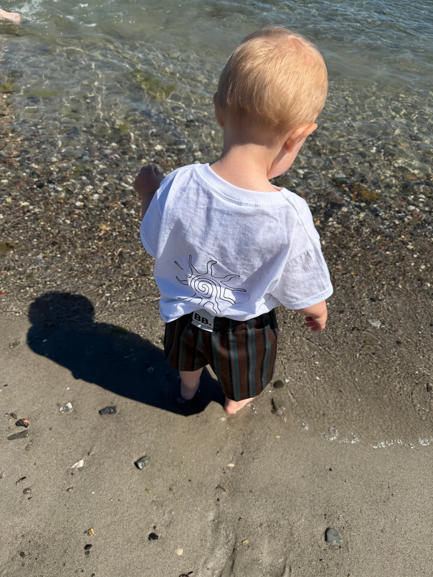 Surplus - Fancy italian shorts - brun