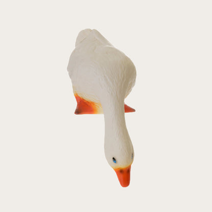 Lampe - And kigger ned