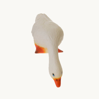 Lampe - And kigger ned